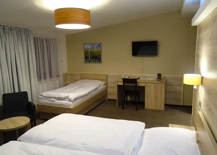 Hotel Freud